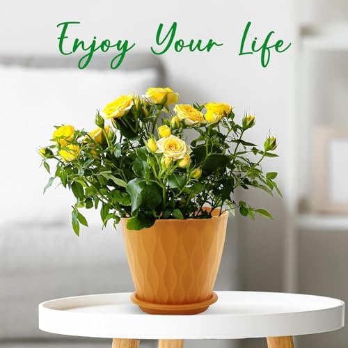 6-inch-plant-po_4 6-inch-plant-po_4